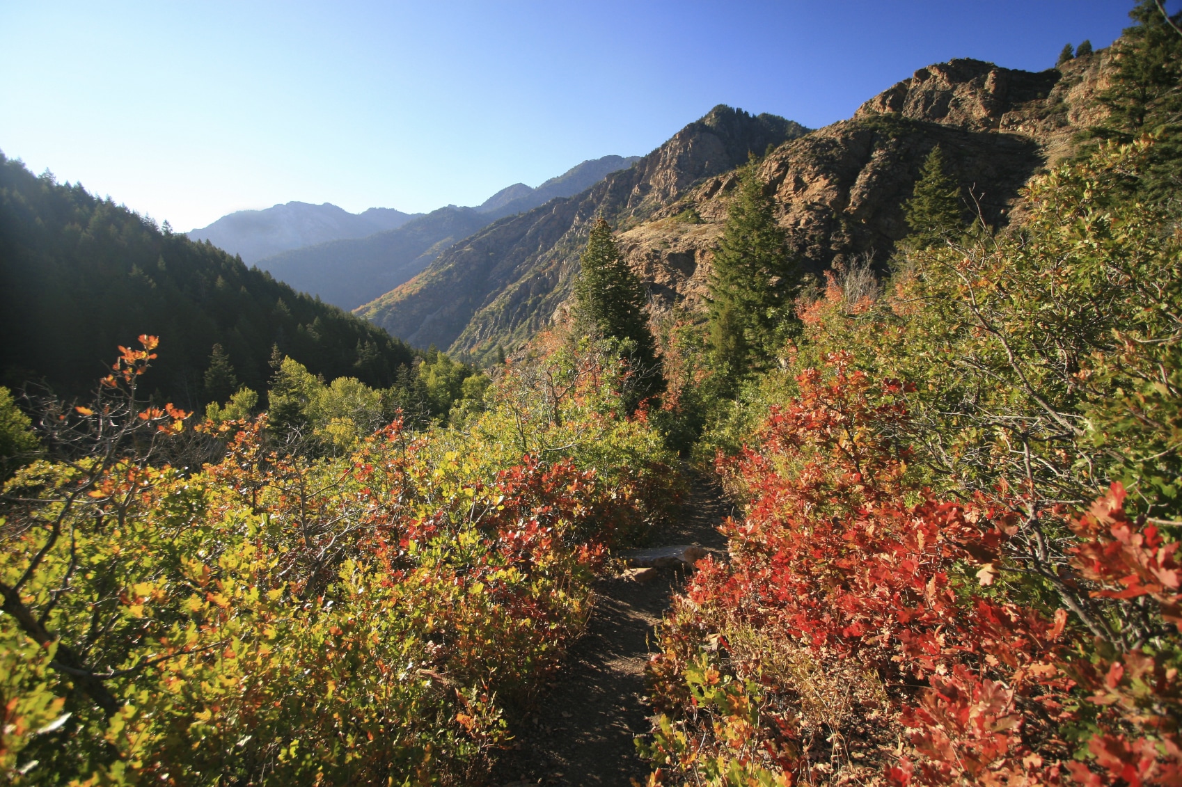 About Utah Climate Action Network